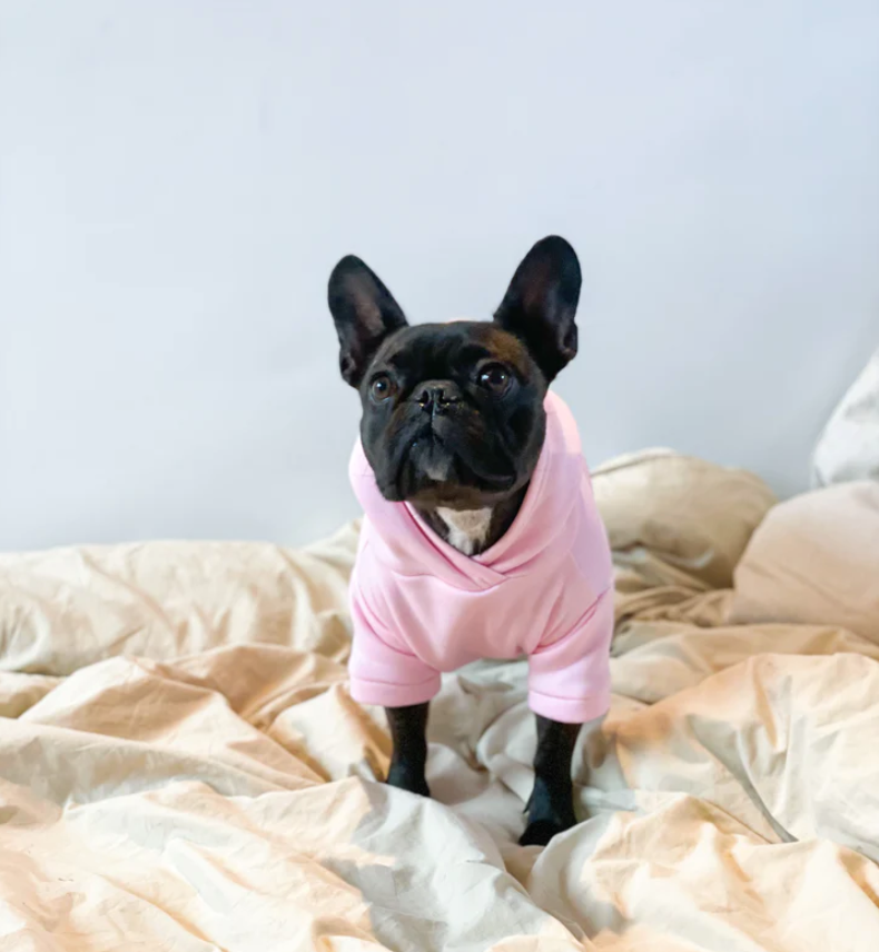 Dog Sweater - Pastel Pink