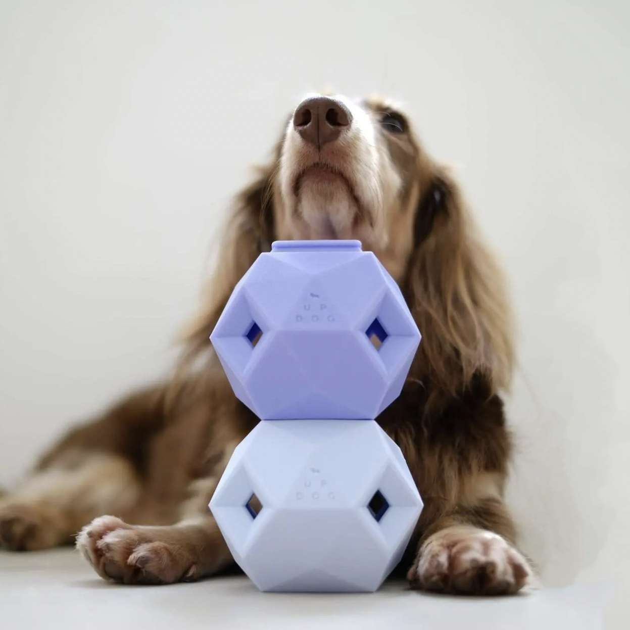 Odin Modern Interactive Dog Puzzle Toy - Lavender Purple