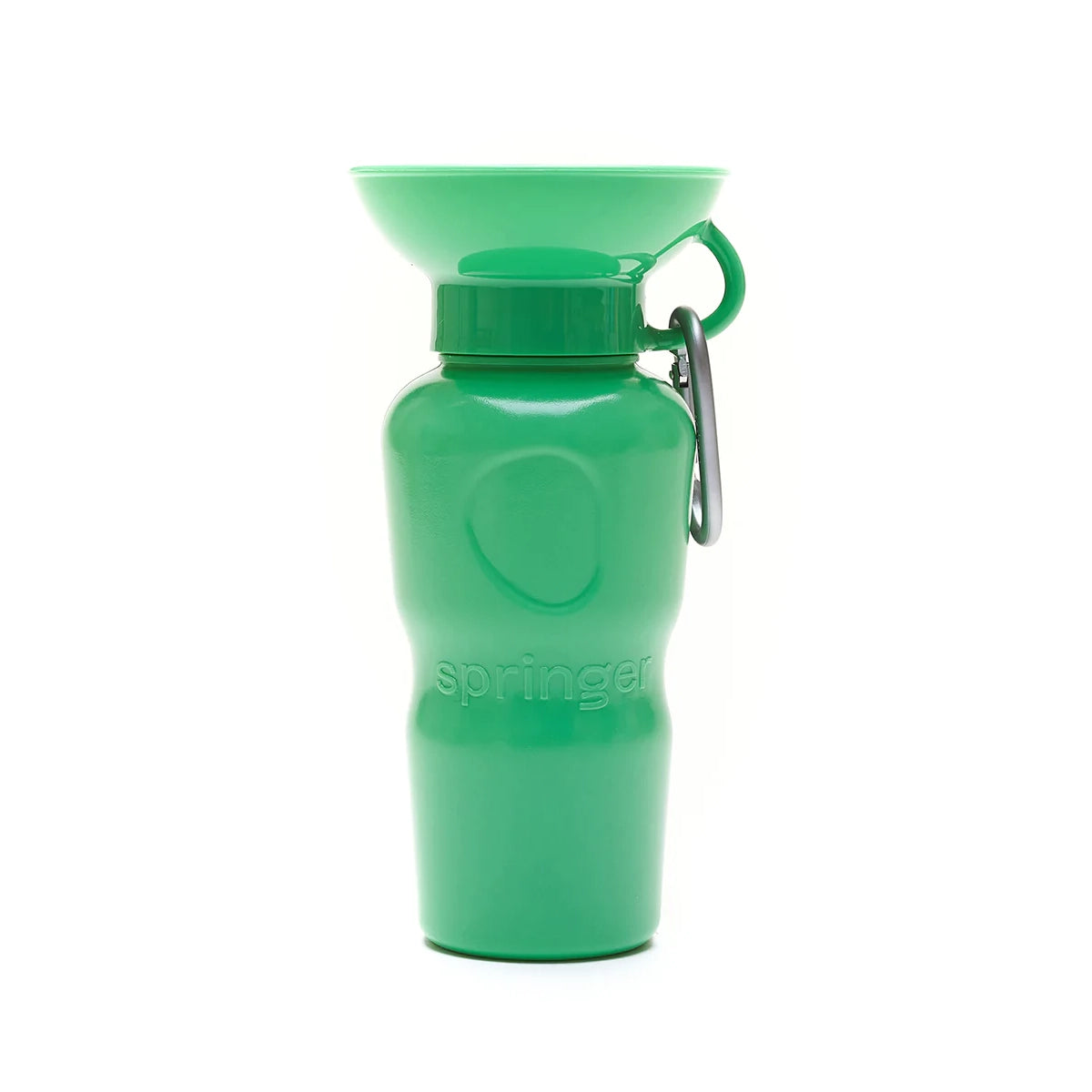 Travel Water Bottle - Springer Green