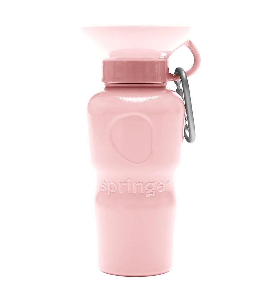 Travel Water Bottle - Cotton Candy