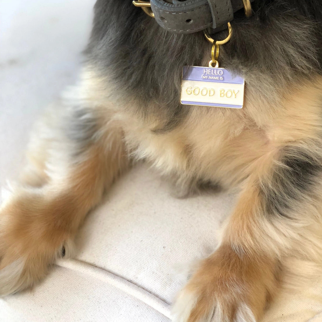 Good Boy Dog Tag