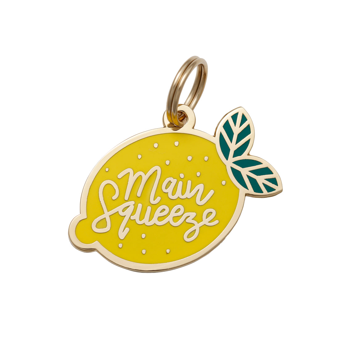 Main Squeeze Dog Tag