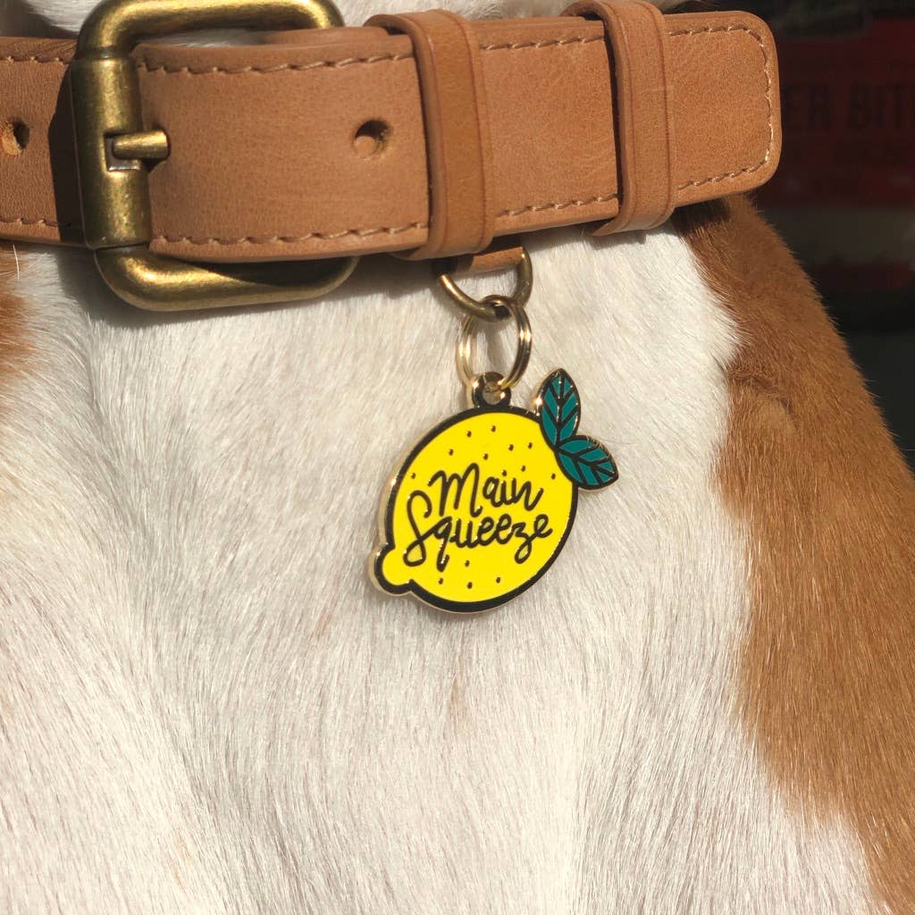 Main Squeeze Dog Tag