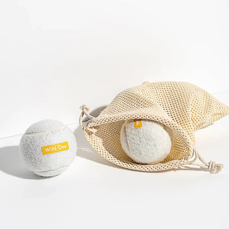 4 Tennis Balls - White