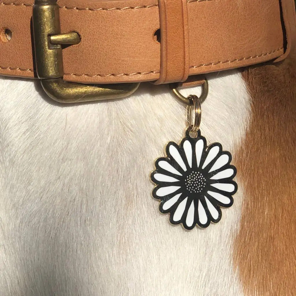 Daisy Dog Tag