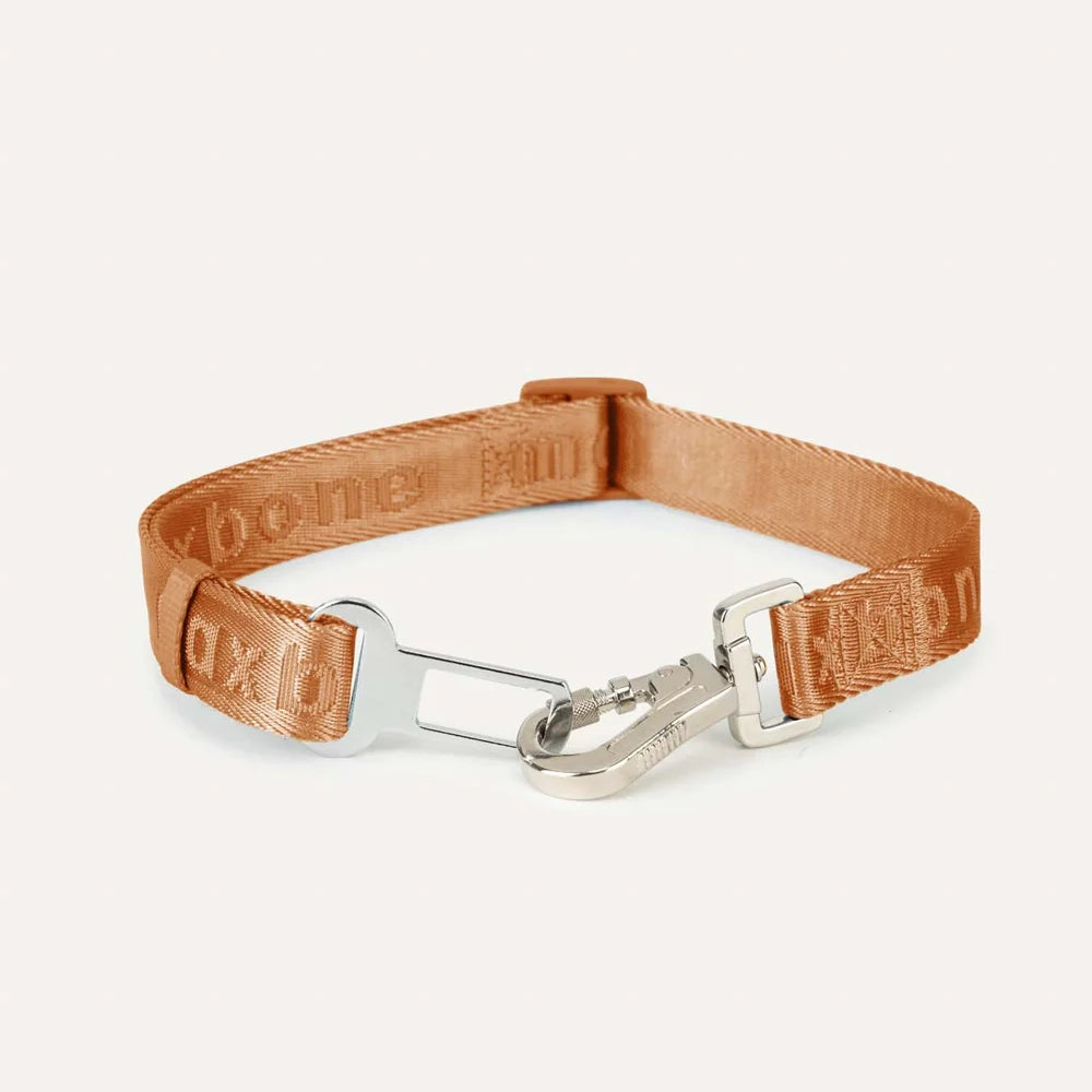 Buckle Up Car Safety Belt - Camel