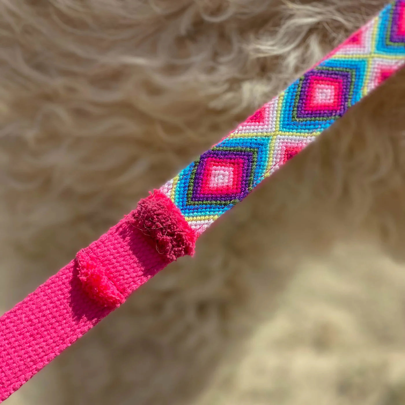 Leash Nomad - Pink