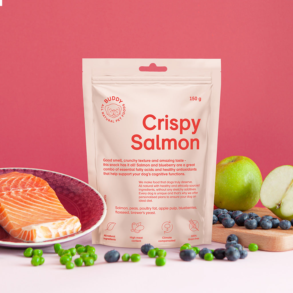 Crunchy Snack Salmon With Blueberries