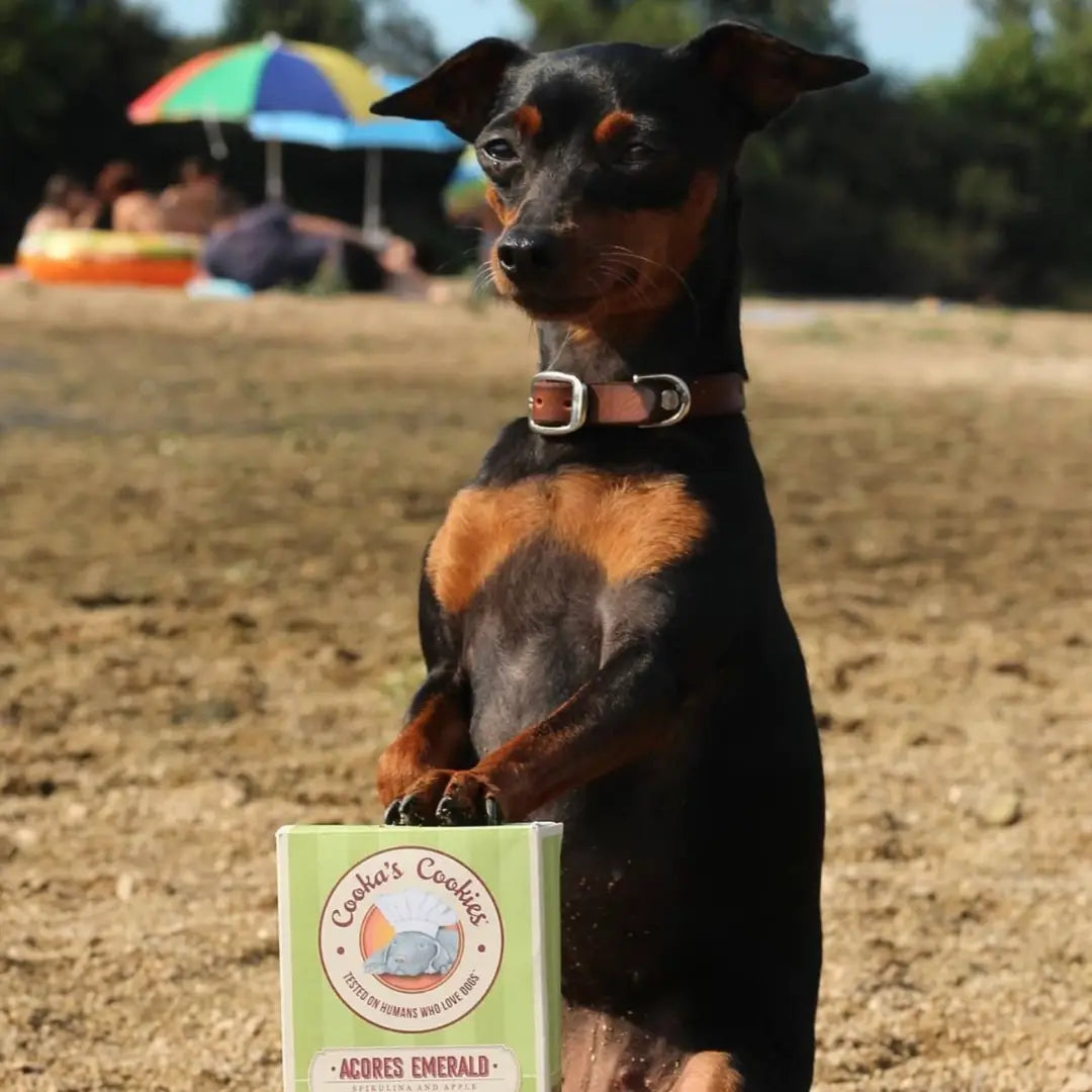 Acores Emerald - Natural Dog Treats with Superfoods