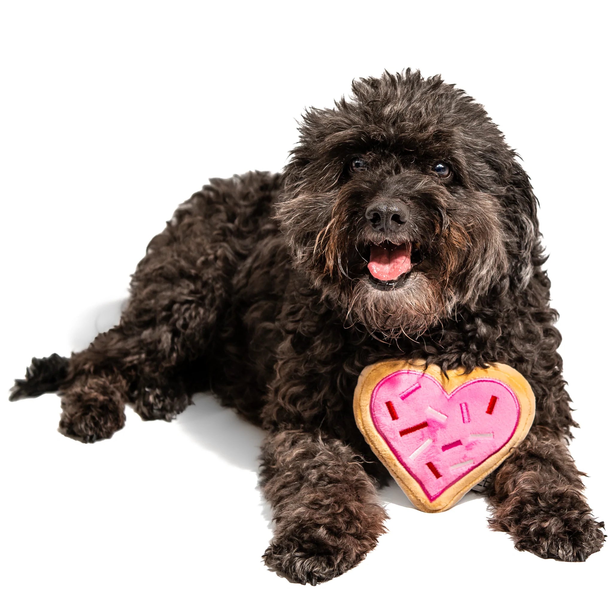 Pink Heart Sugar Cookie