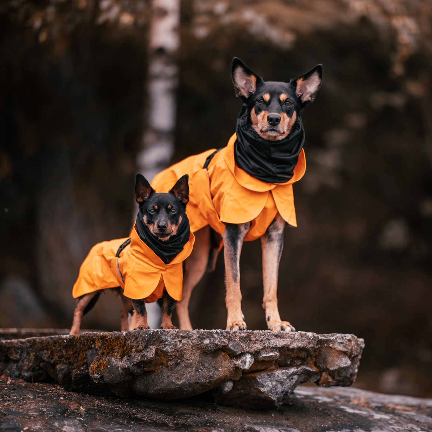 Recovery Raincoat - Orange