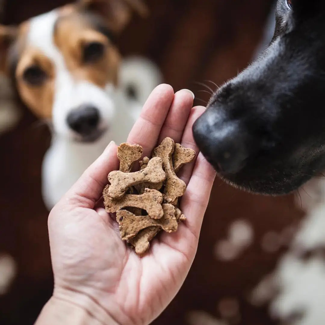 Beef Bones - Natural Dog Treats