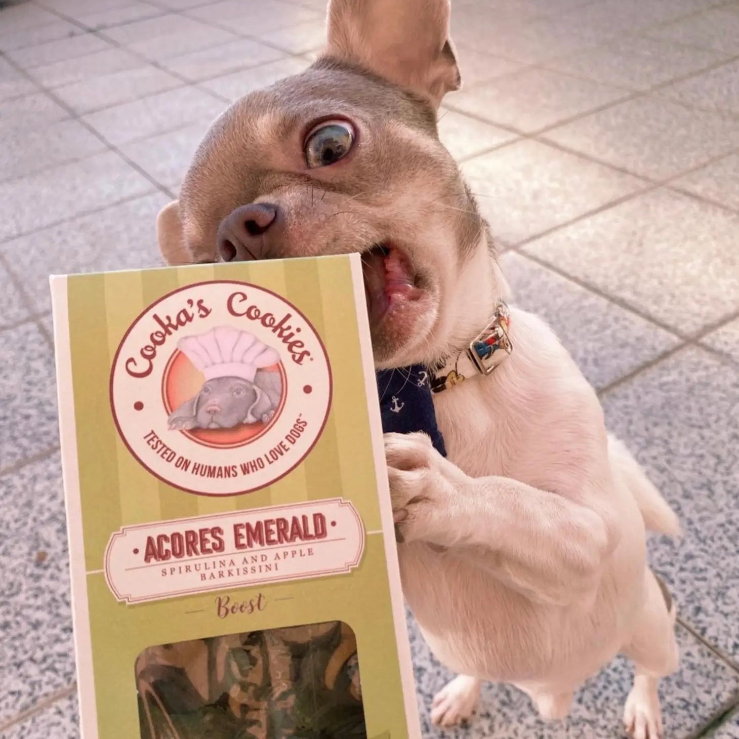 Acores Emerald - Natural Dog Treats with Superfoods