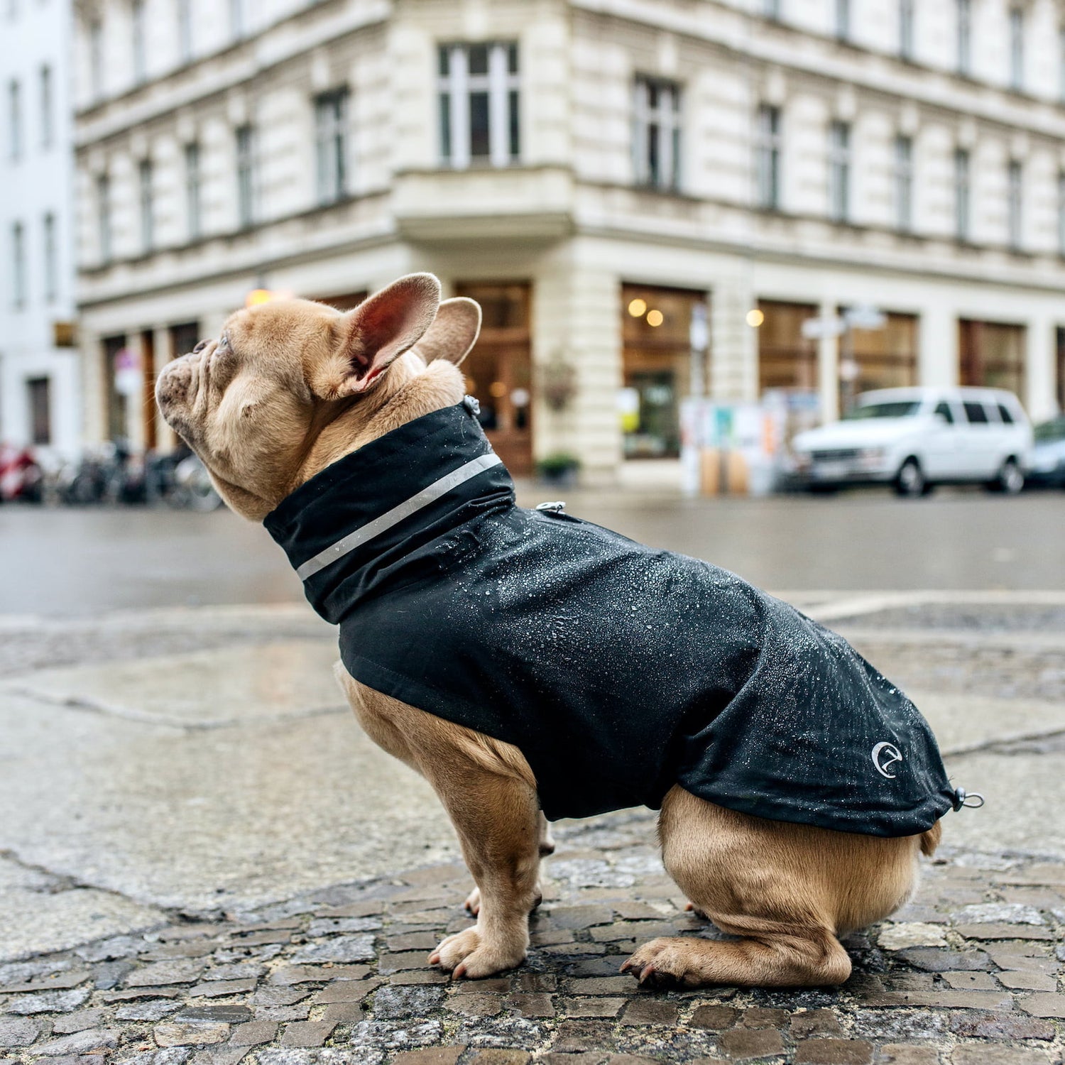 Cloud7 French Bulldog Raincoat London - Slate