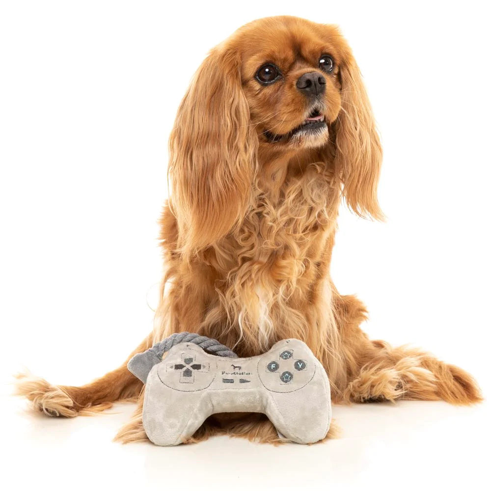 Pawstation Controller