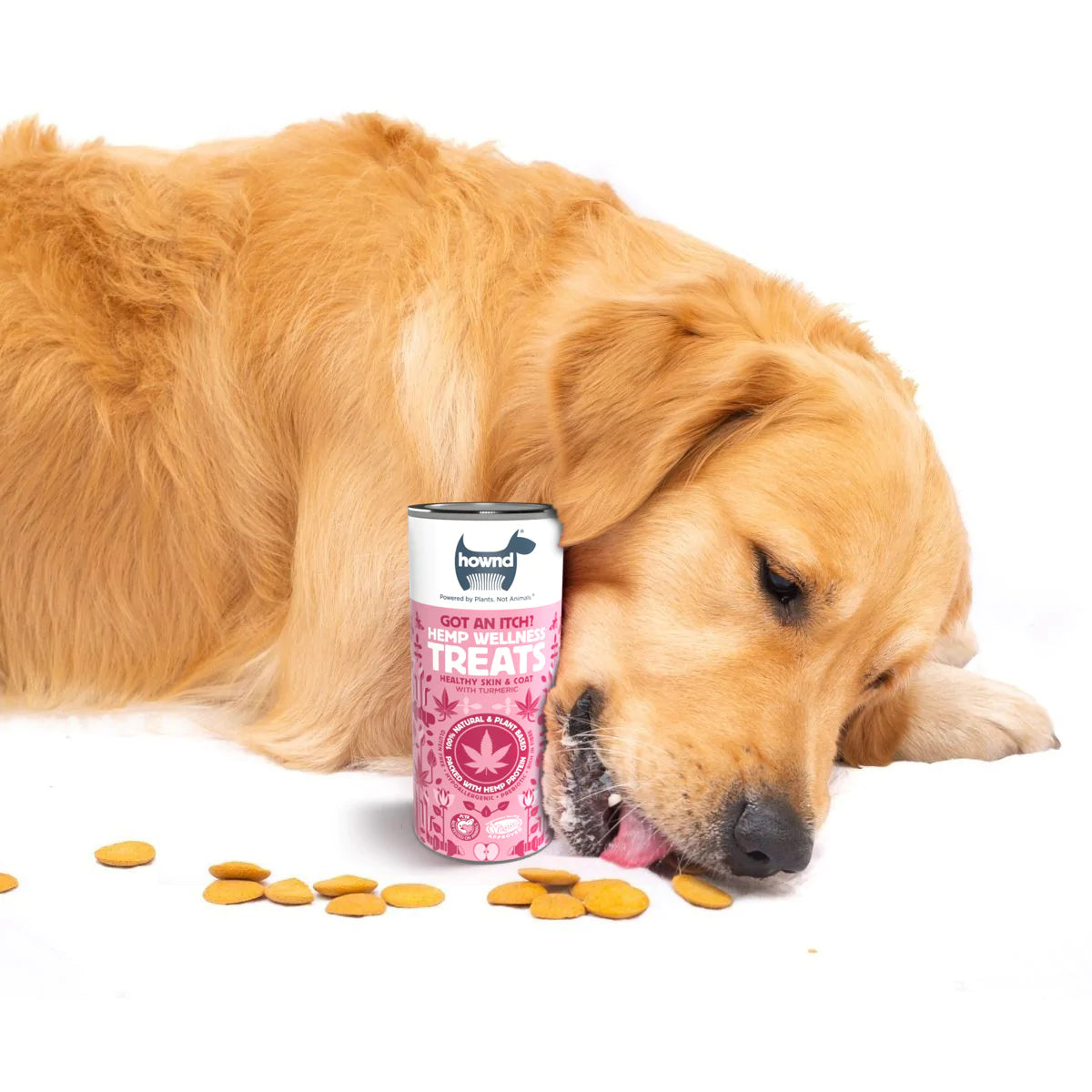 Got An Itch? Hemp Wellness Treats
