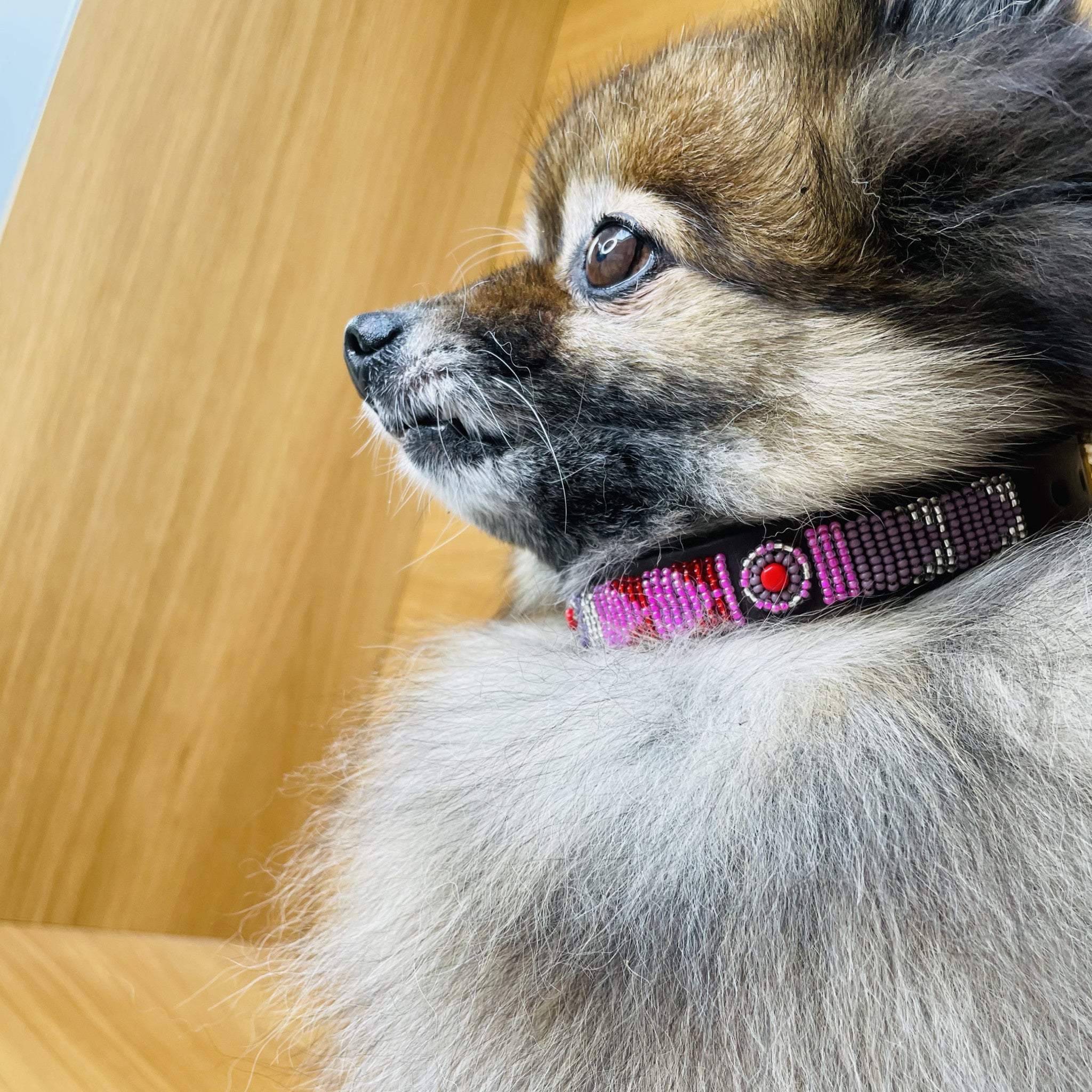 Beaded Dog Collar - Lily