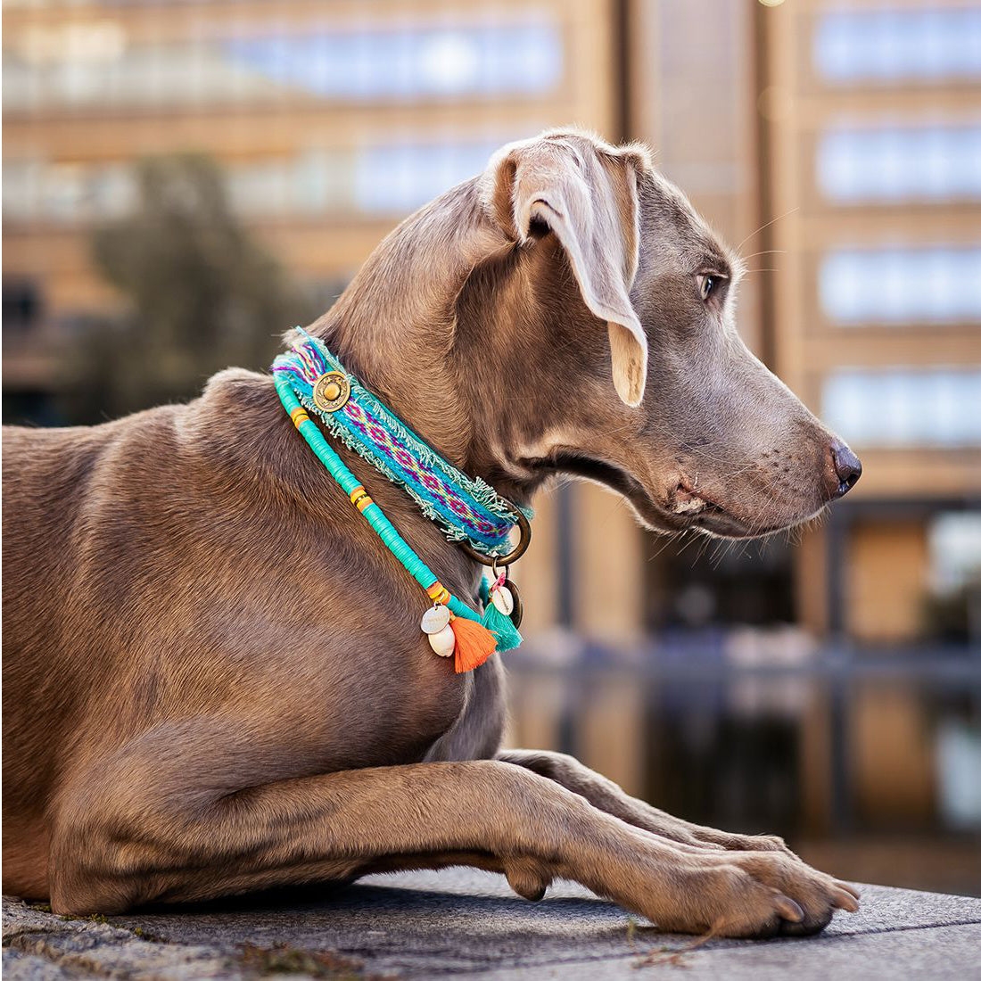 Coco Beach Necklace