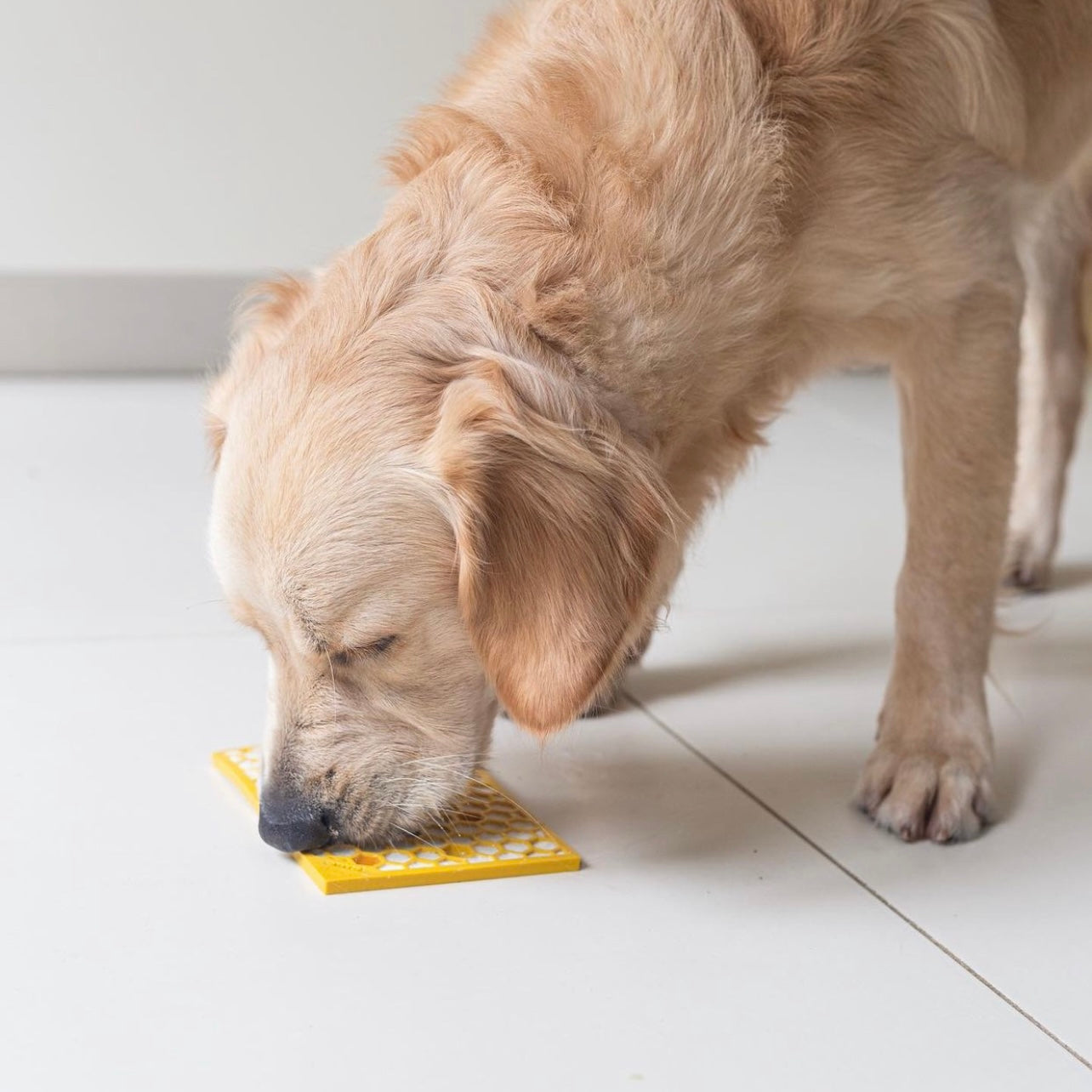 Small Enrichment Licking Mat - Honeycombs