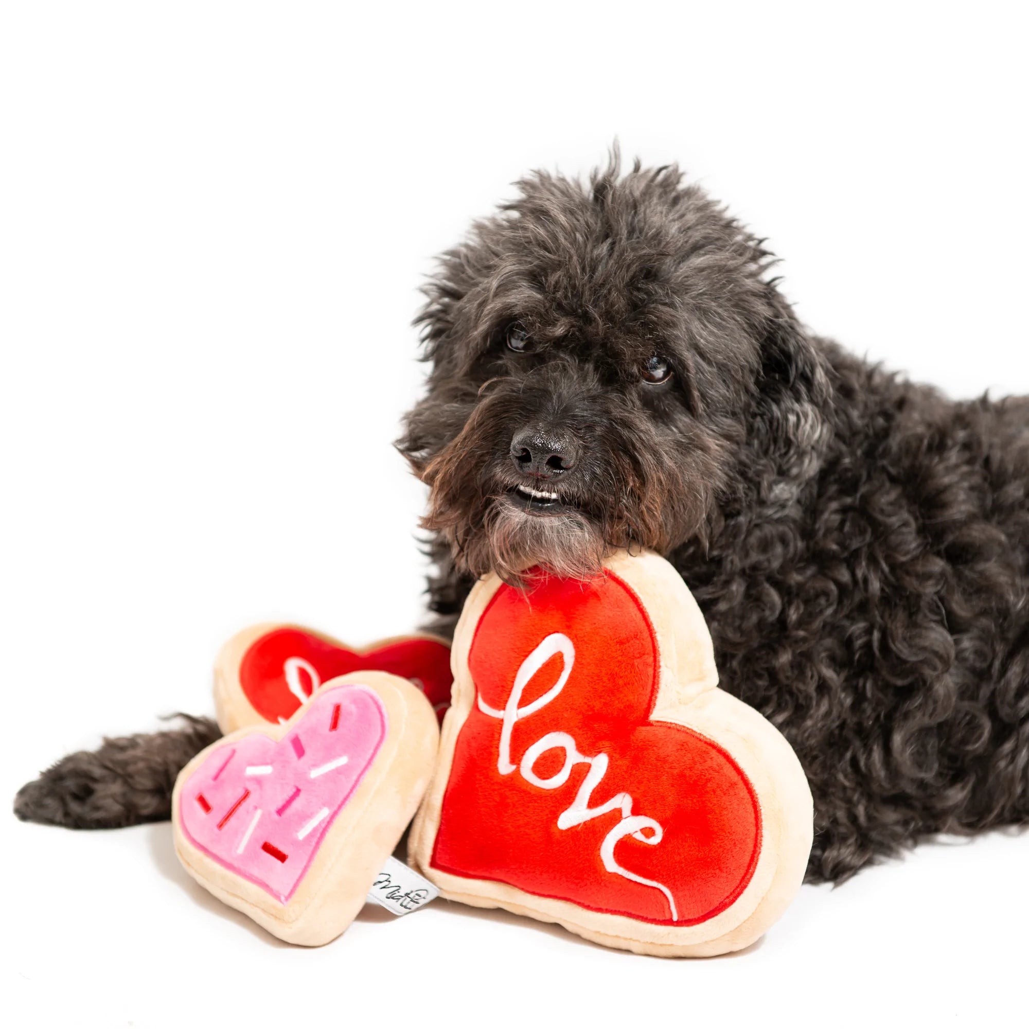 Love Sugar Cookie