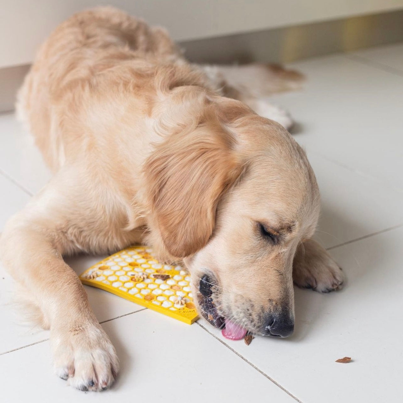 Small Enrichment Licking Mat - Honeycombs