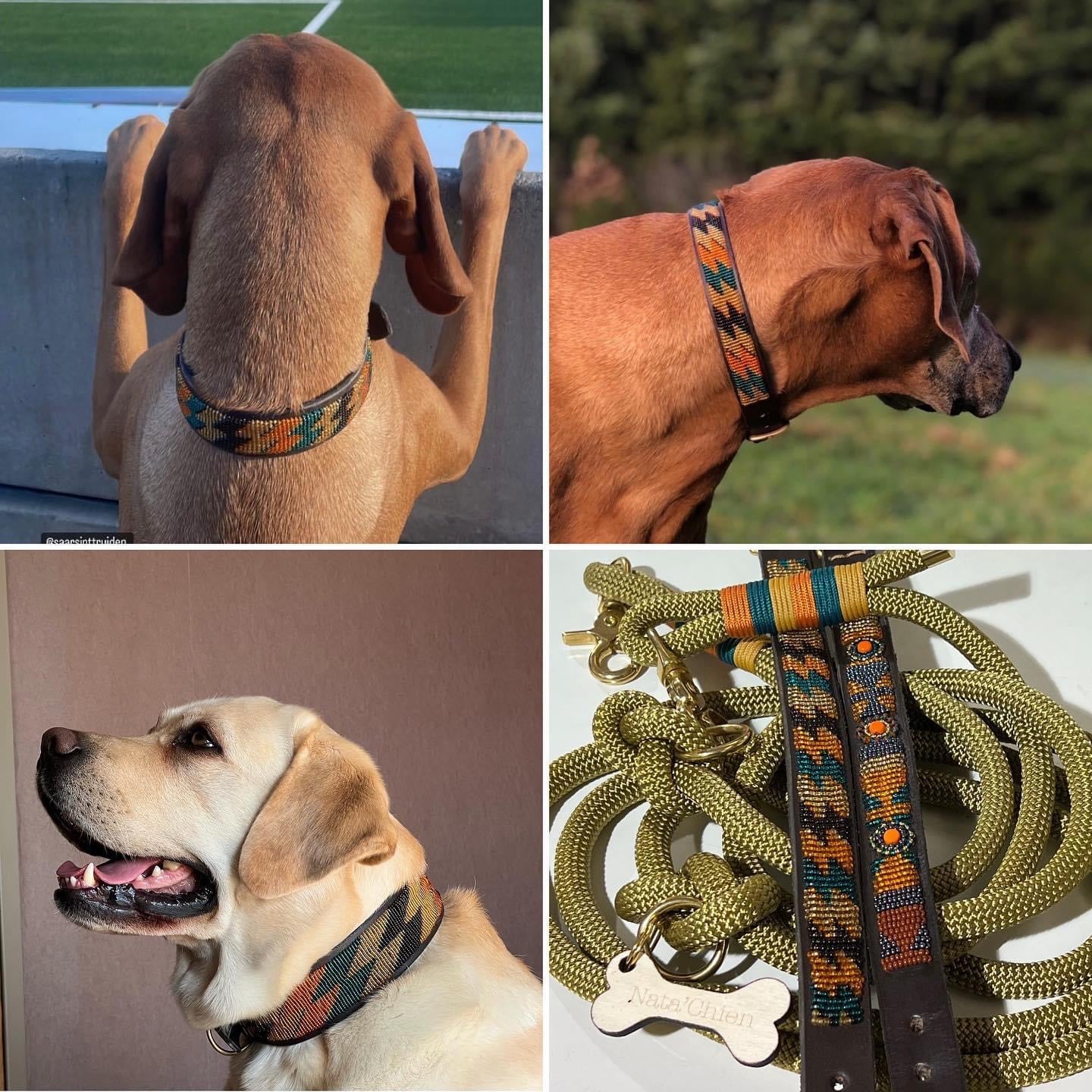 Beaded Dog Collar - Bolt
