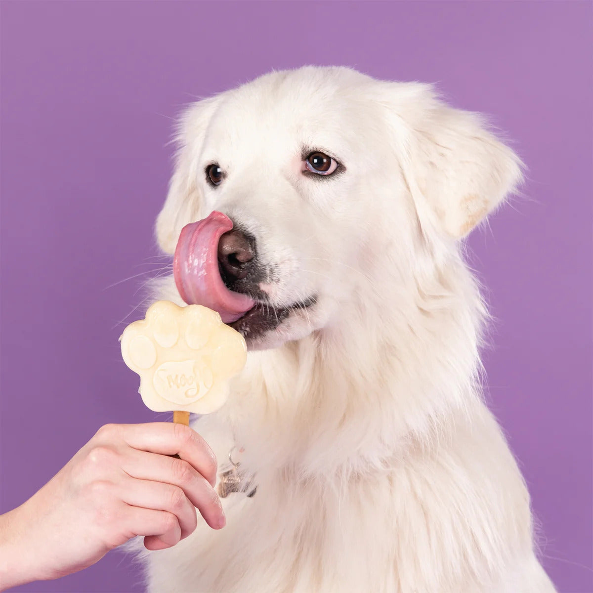 Ice Cream Mix for Dogs - Banana