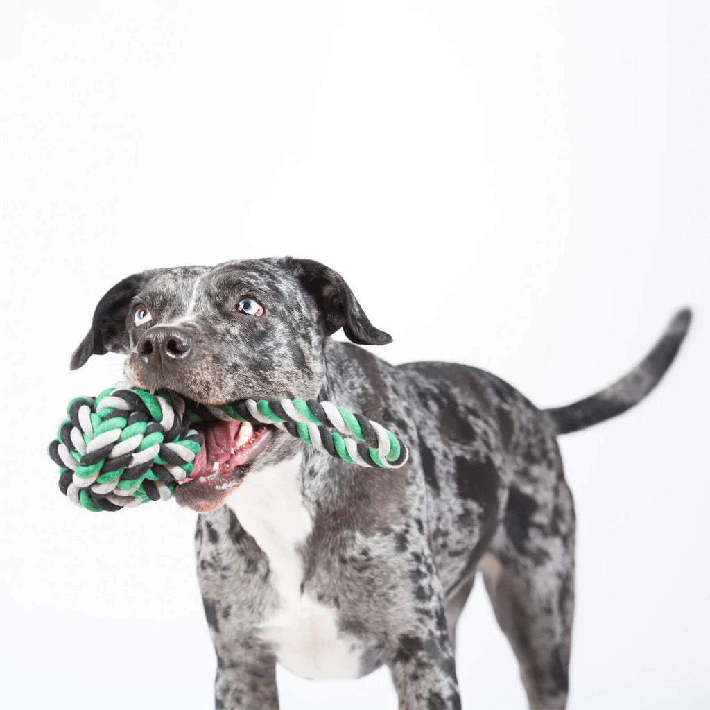 Schleuderball - Black/Grey/Green