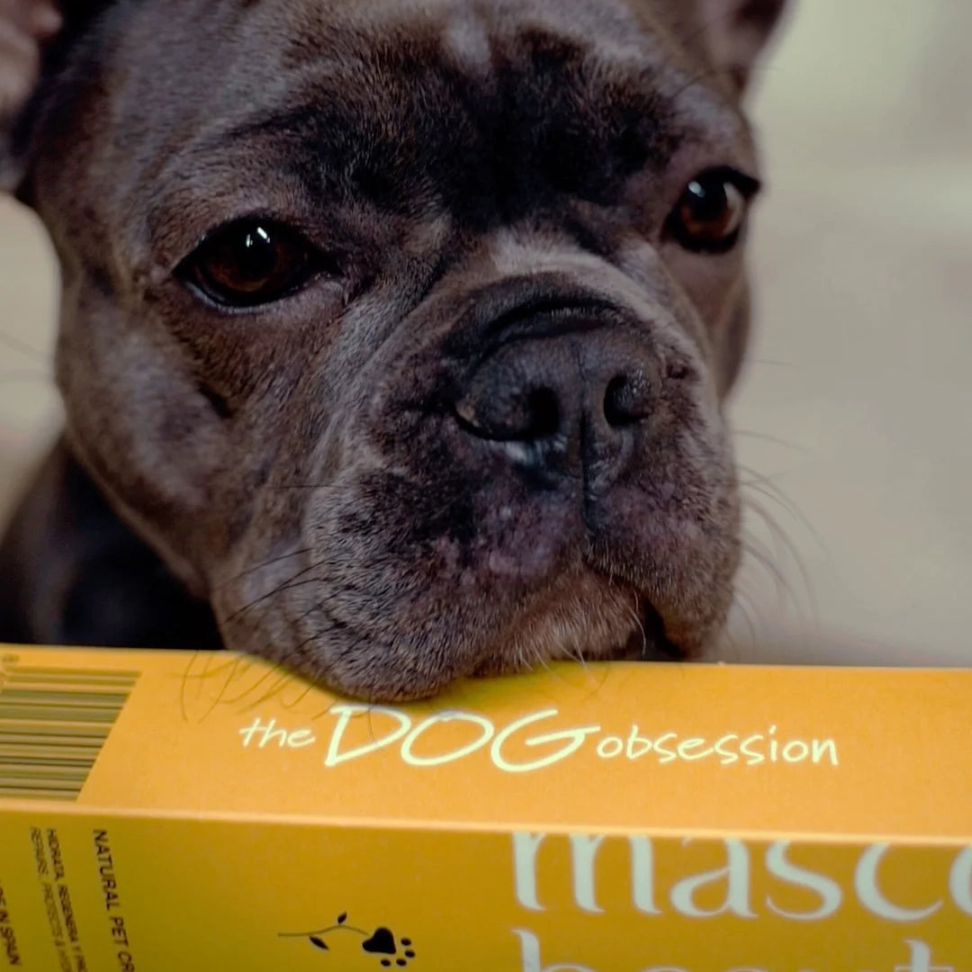 Dog Obsession | Natural Pet Cream