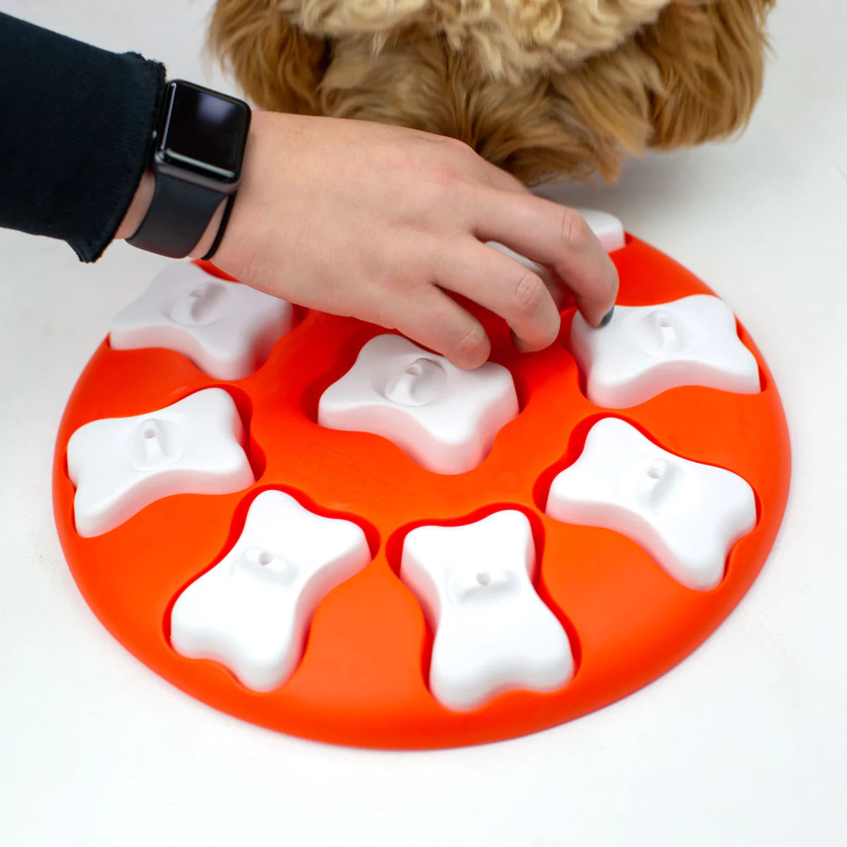 Dog Smart Interactive Treat Puzzle - Orange