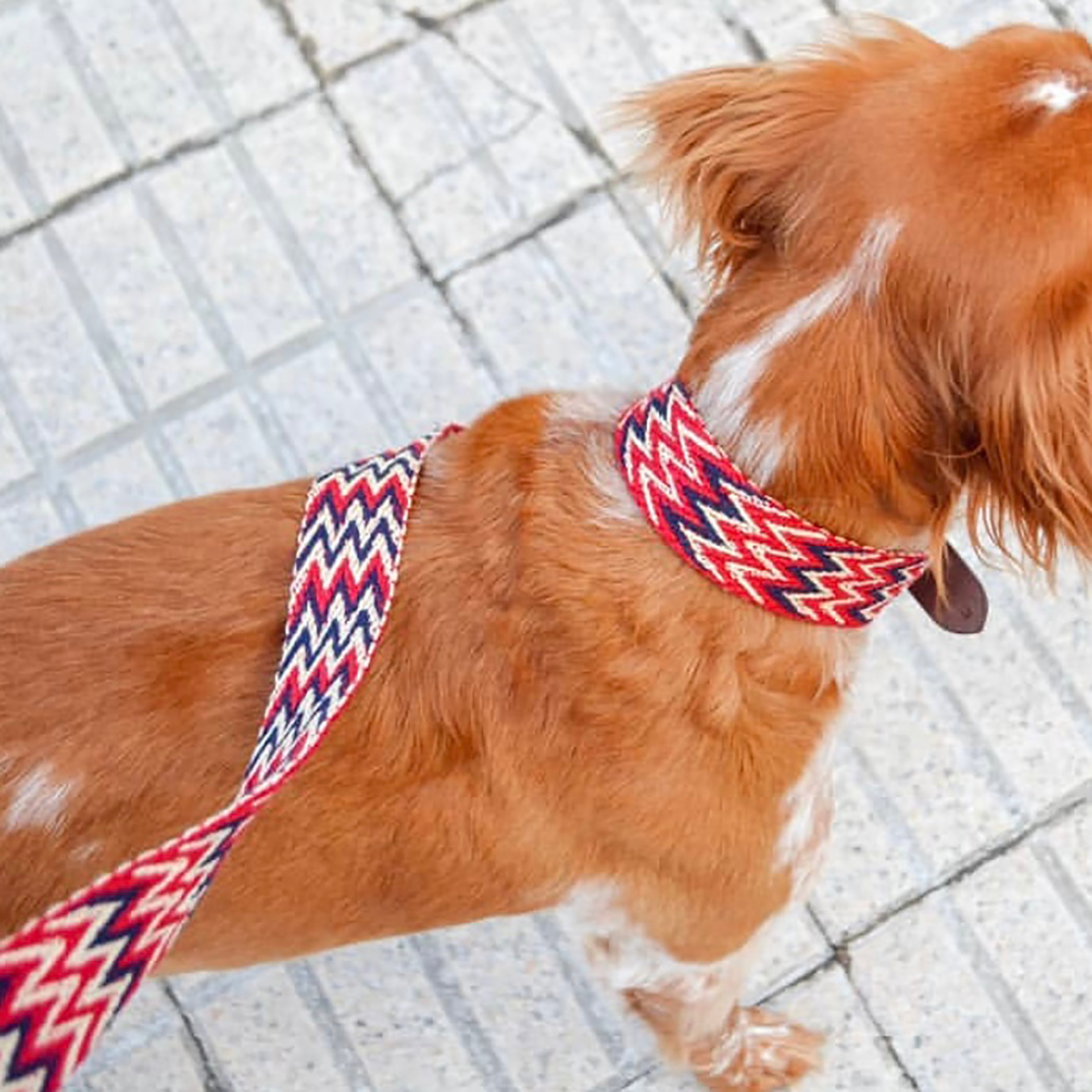 Peruvian Red Adjustable Leash