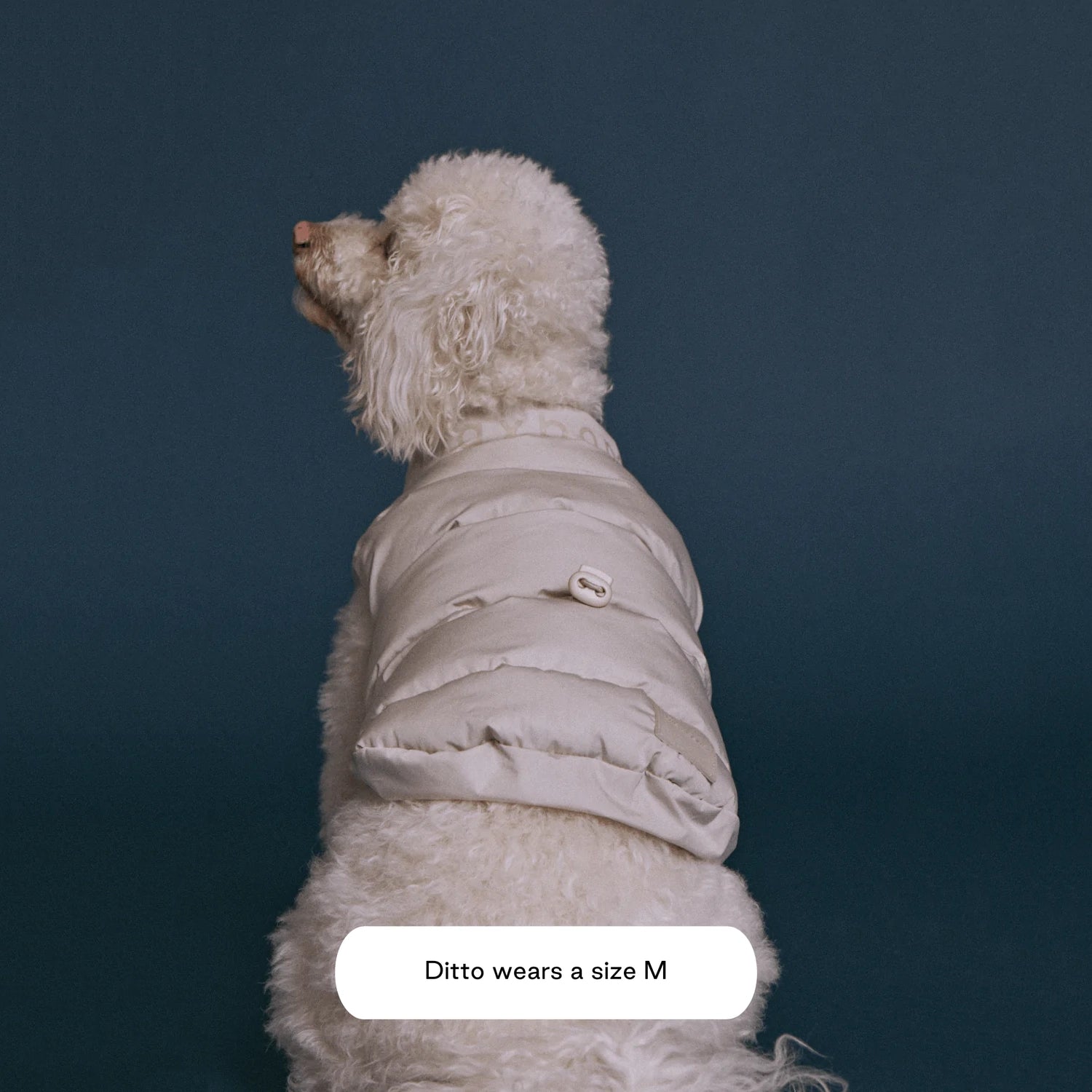 Sub Zero Waterproof Jacket - Sand Dune