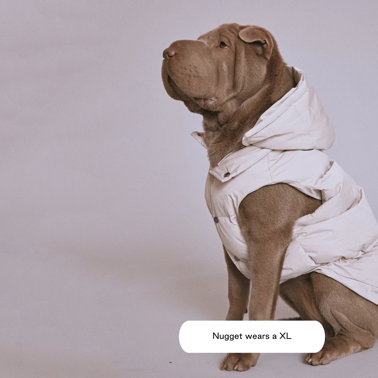 Sub Zero Waterproof Jacket - Sand Dune