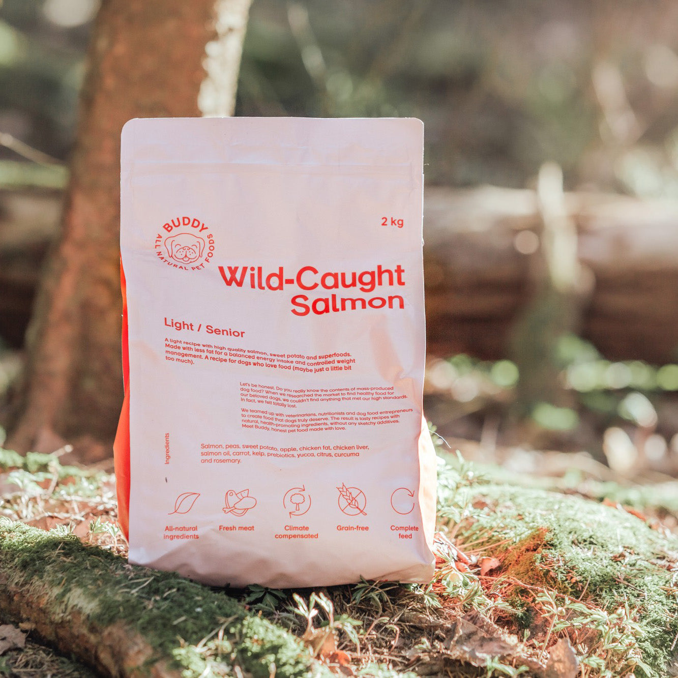 Wild gefangener Lachs｜Light/Senior｜Hundefutter｜100% getreidefreies Hundefutter