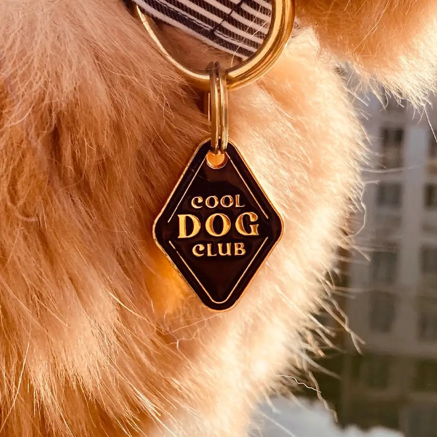 Cool Dog Club Tag