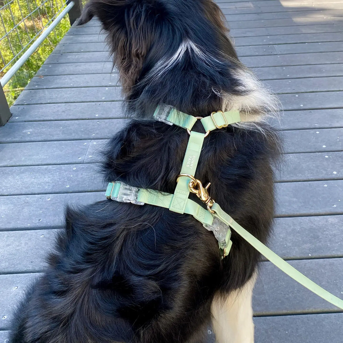 Wasserdichtes Hundegeschirr - Pistaziengrün