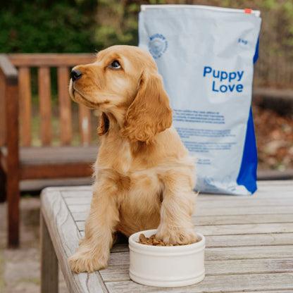 Puppy Love｜Dog Kibble｜100% getreidefreies Welpenfutter