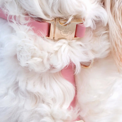 Waterproof Dog Collar - Perfect Pink