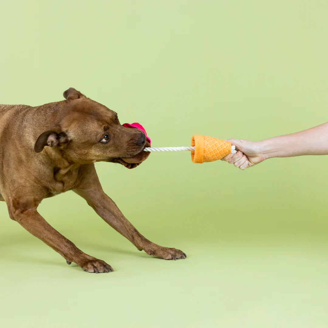 Verlust von Conetrol