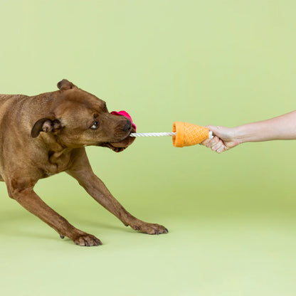 Verlust von Conetrol