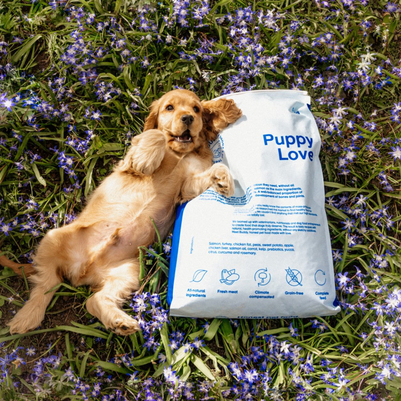 Puppy Love｜Dog Kibble｜100% getreidefreies Welpenfutter