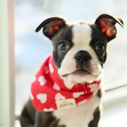 Nana Bandana