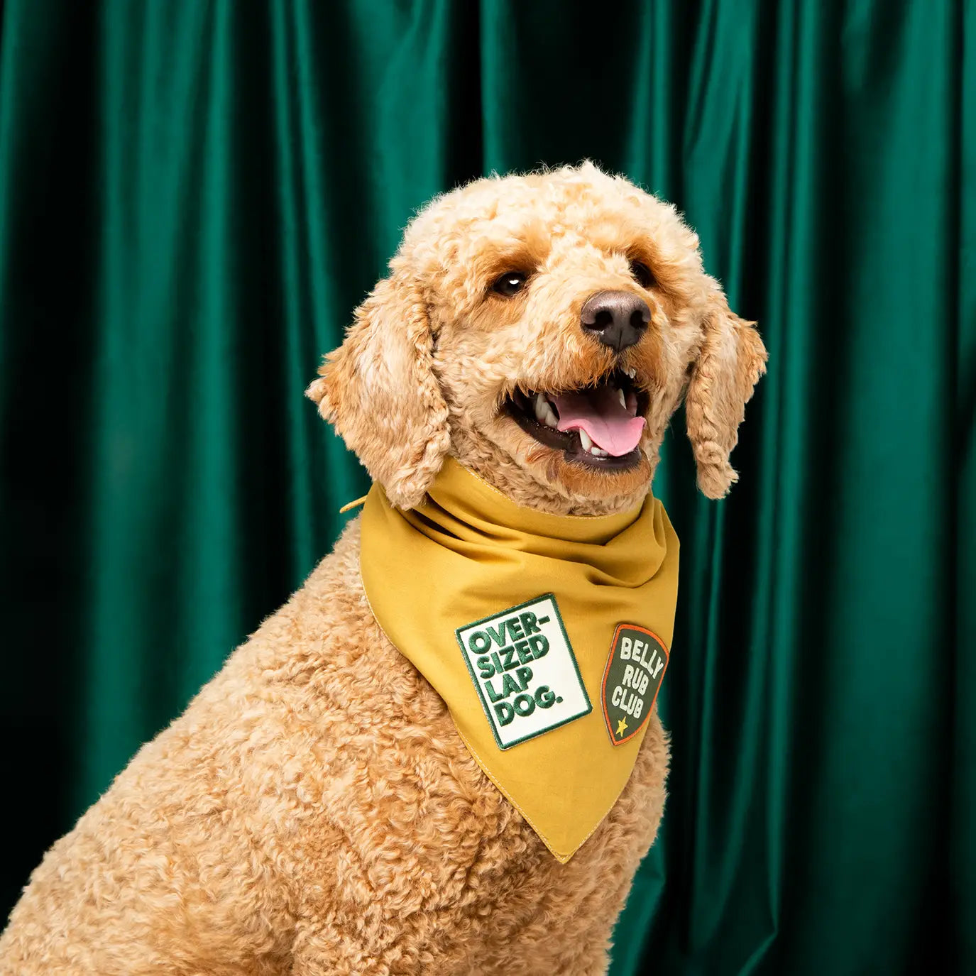 Übergroßes Schoßhundeabzeichen