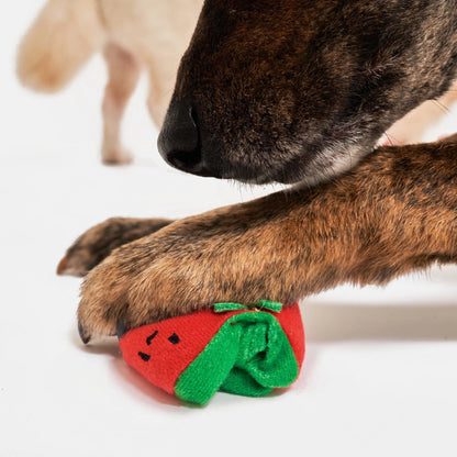 Cherry Tomato Nose Work & Tug Toy