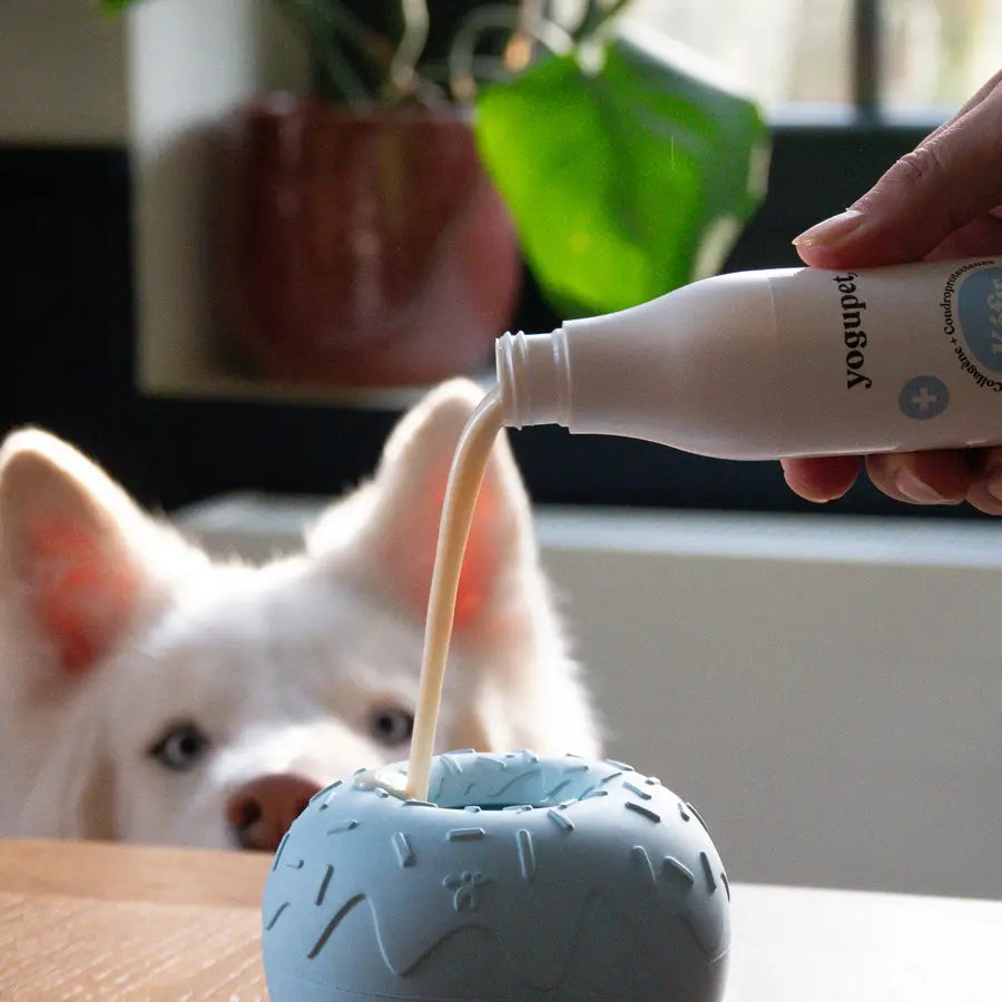 Yoomy Donut Enrichment Toy | Blue