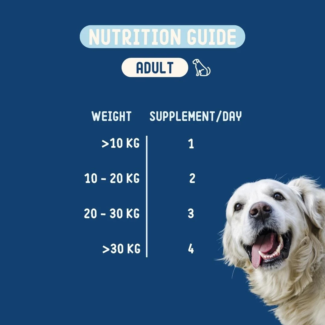 Probiotika | Supplement Kauartikel für Hunde