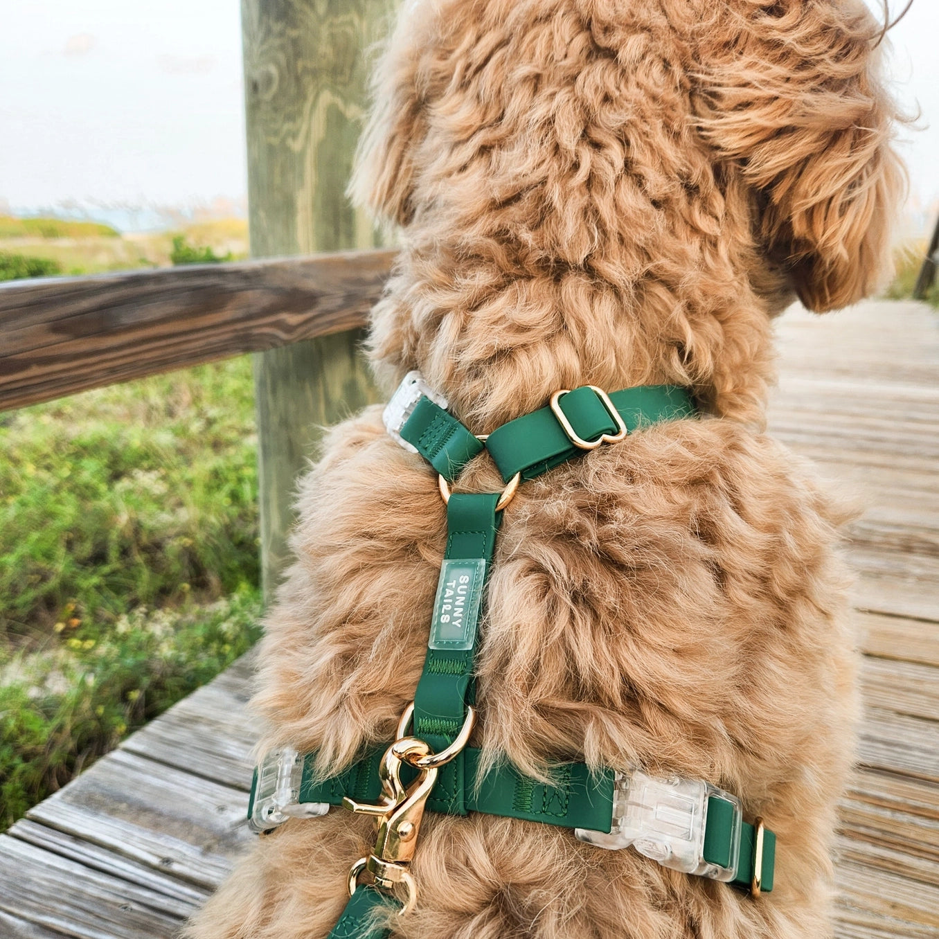 Wasserdichtes Hundegeschirr - Meadow Green