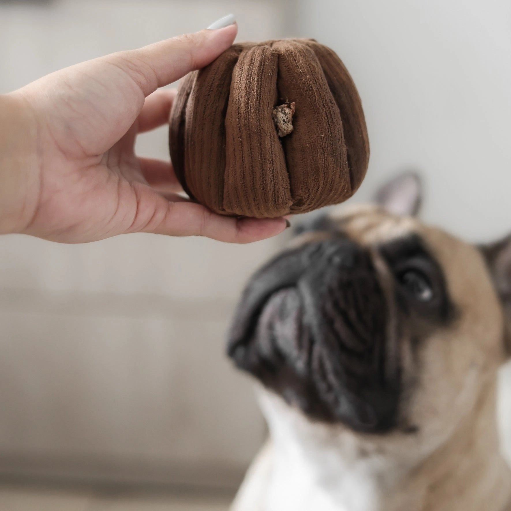 Canele | Enrichment Hundespielzeug