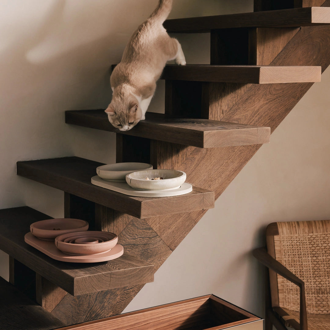 Whisker Friendly Cat Bowl - Owl Greige