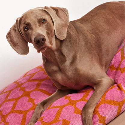 Herz Hundebett - Orange/Pink